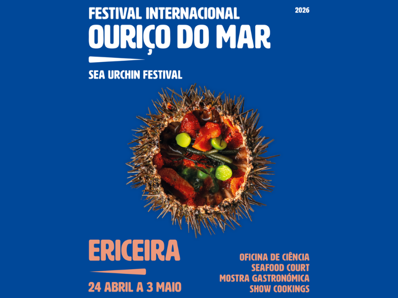 Festival Internacional Ouriço do Mar 2026